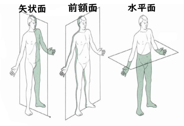 ファンクショナルトレーニング～3面動作～の画像