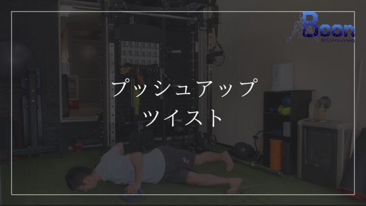 プッシュアップツイストの画像