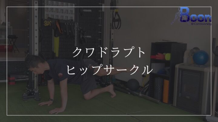 クワドラプト/ヒップサークルの画像