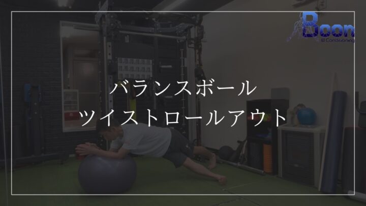 バランスボール/ツイストロールアウトの画像