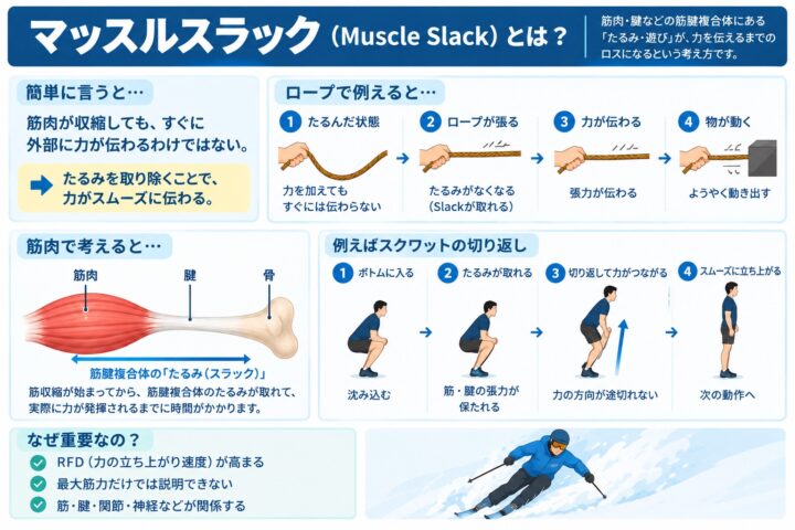 【無料公開】マッスルスラックとは?の画像