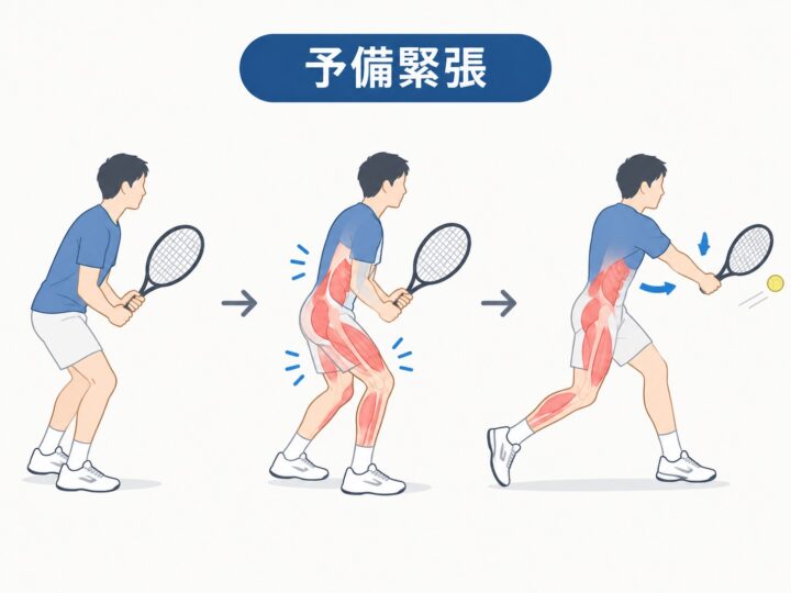 予備緊張と共収縮とは？スポーツの「安定性」と「瞬発力」を考えるの画像